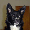 Bebe was adopted in September, 2005